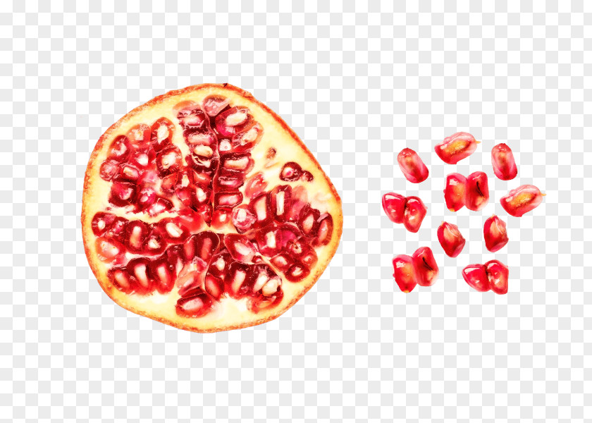 Pomegranate Grapefruit Food Color Scheme PNG