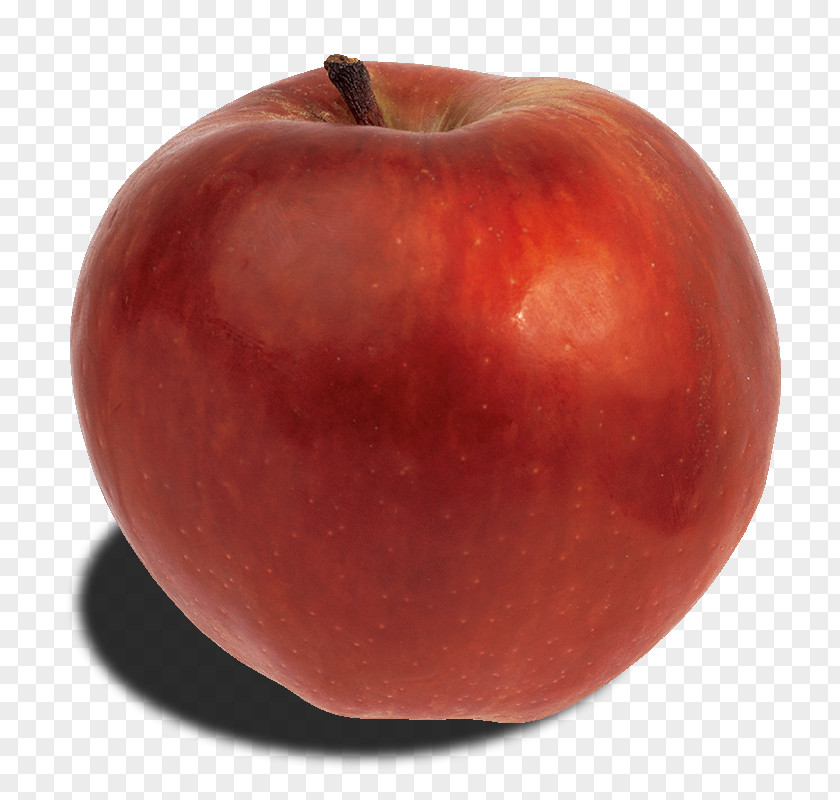 Red Delicious Fruit Safe Material Apple PNG
