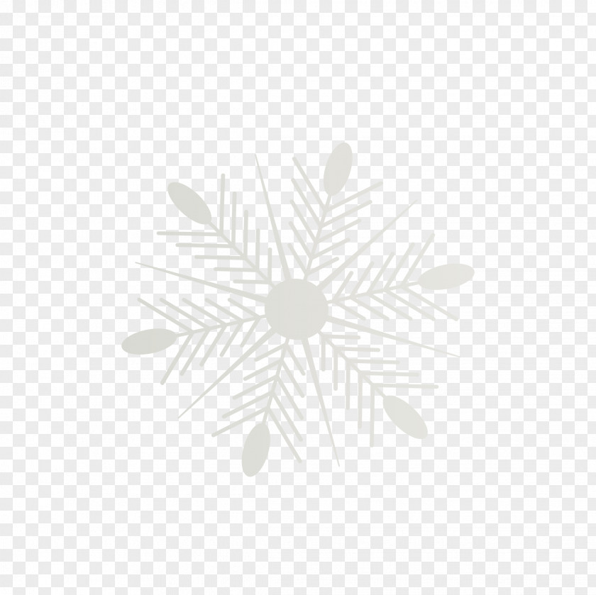 Snowflake White Symmetry Pattern PNG