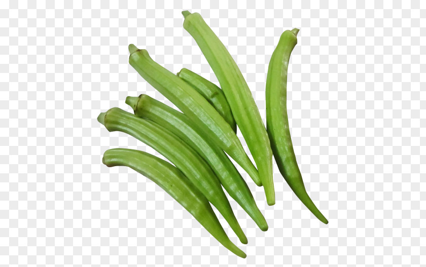 Vegetable Okra Ladyfinger Food PNG