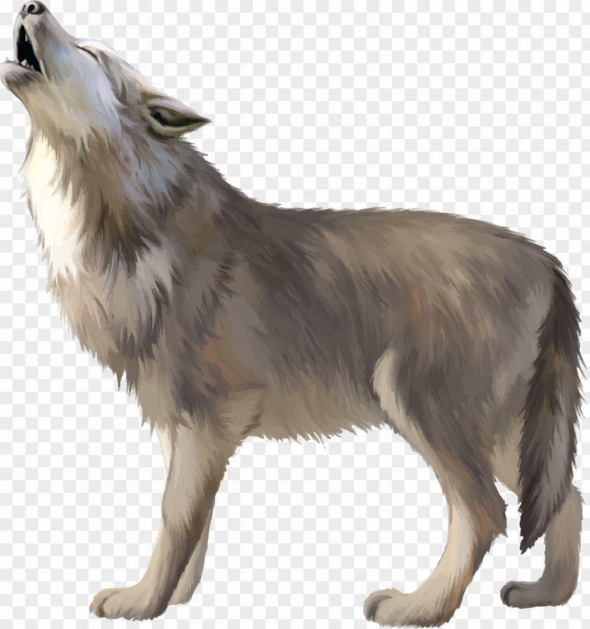 Wolf Gray Download PNG