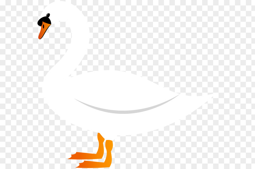 Cartoon Swan Duck Goose Clip Art Cygnini Image PNG