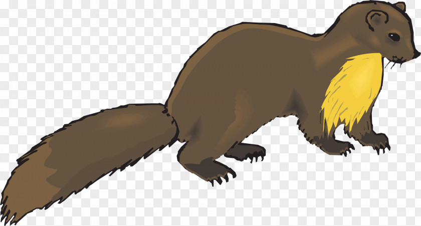 Claw European Pine Marten Weasels Otter Ferret Clip Art PNG