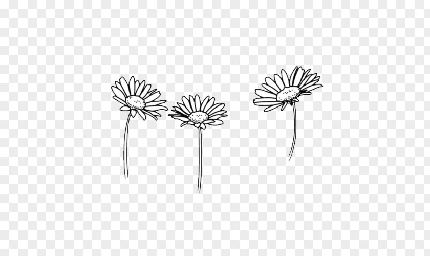 Cute Drawing Flower Black And White Sketch PNG