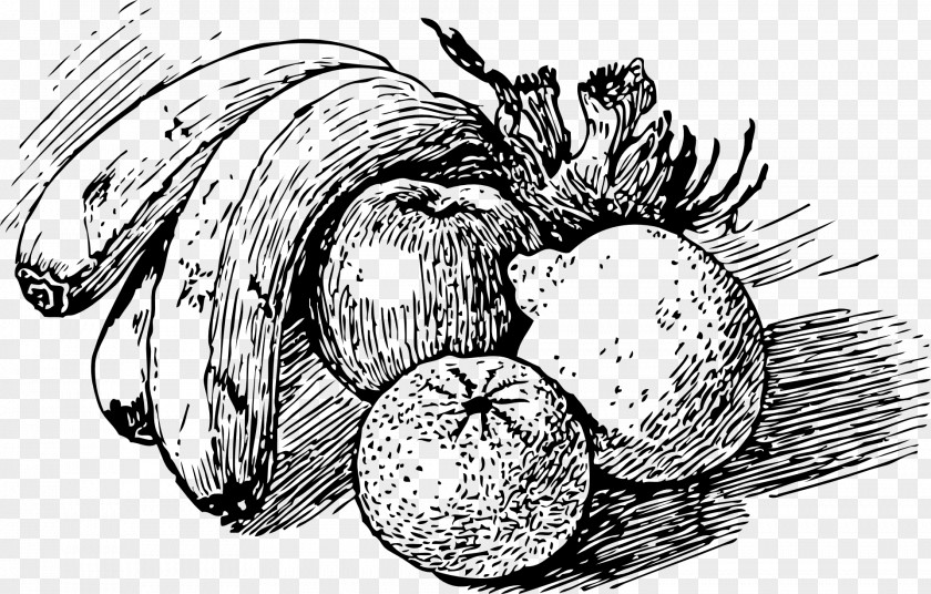 Peach Fruit Drawing Line Art Sketch PNG