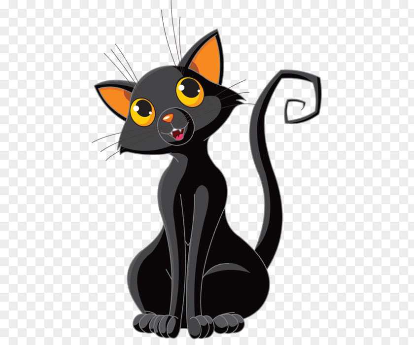Cat Black Halloween PNG