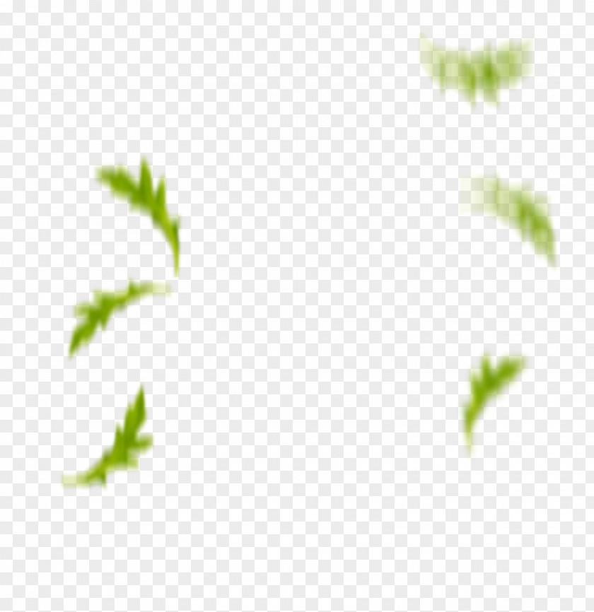 Leaf Desktop Wallpaper Sunlight Plant Stem Close-up PNG