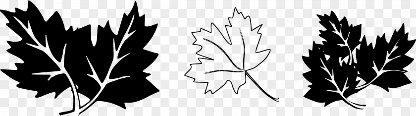 Oak Leaf Clip Art PNG