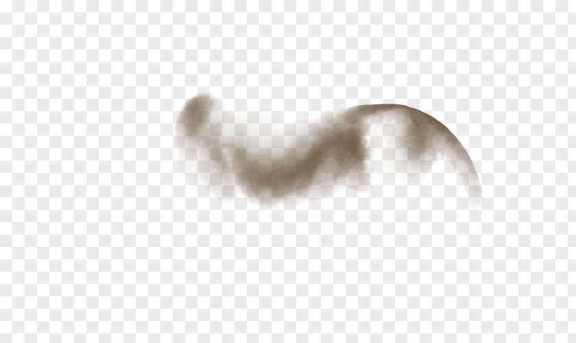 Ripples Lion Felidae Mane Marozi White PNG