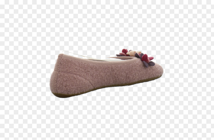 Slipper Shoe Walking PNG