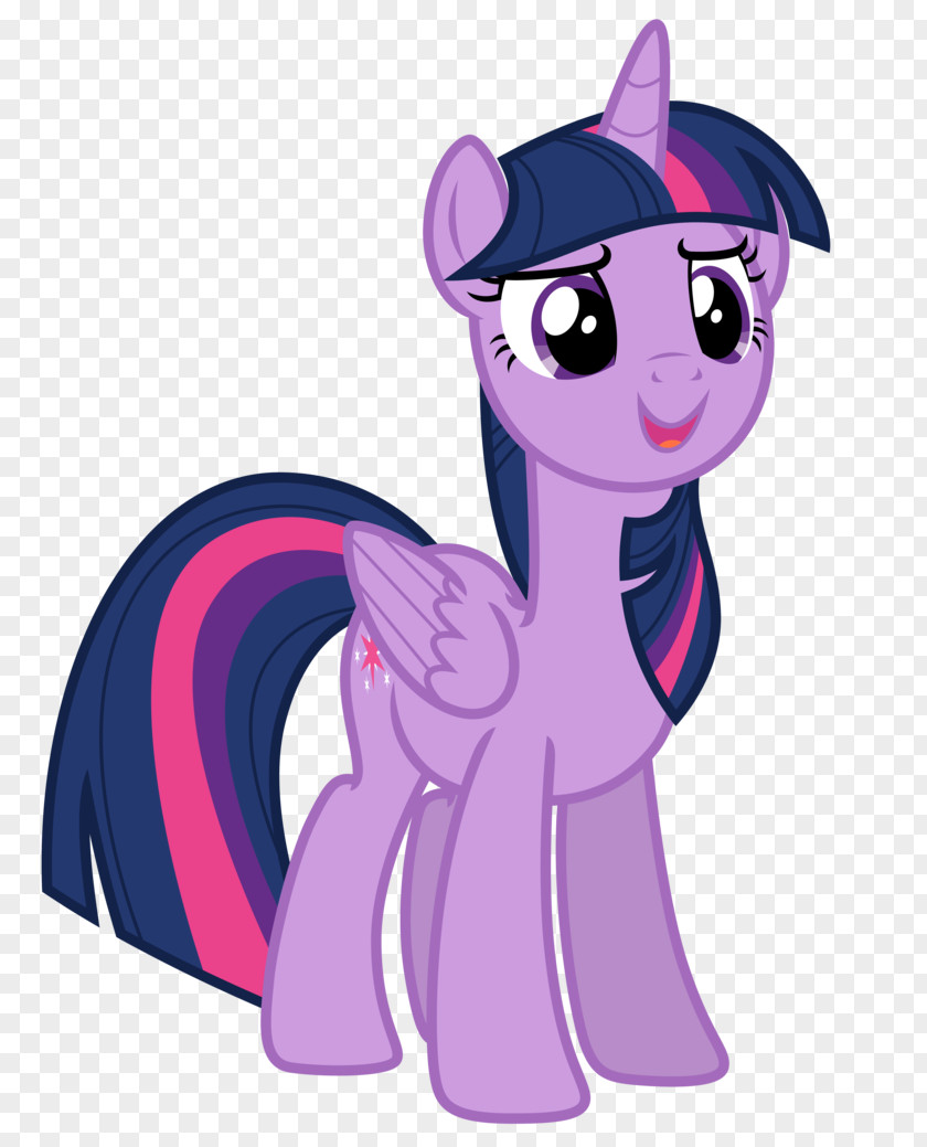 Sparkle Vector Pony Twilight Rarity Pinkie Pie Winged Unicorn PNG