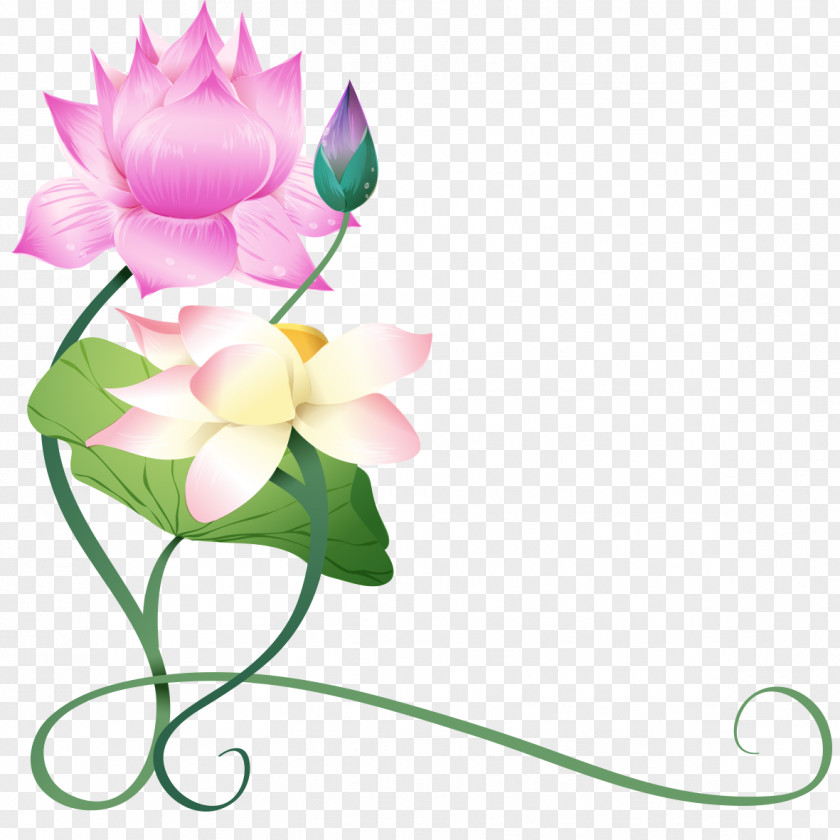 Lotus Background PNG background clipart PNG
