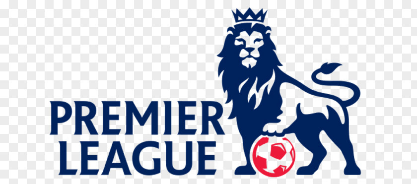 Premier League Photos 2016u201317 2014u201315 1992u201393 FA English Football Leicester City F.C. PNG