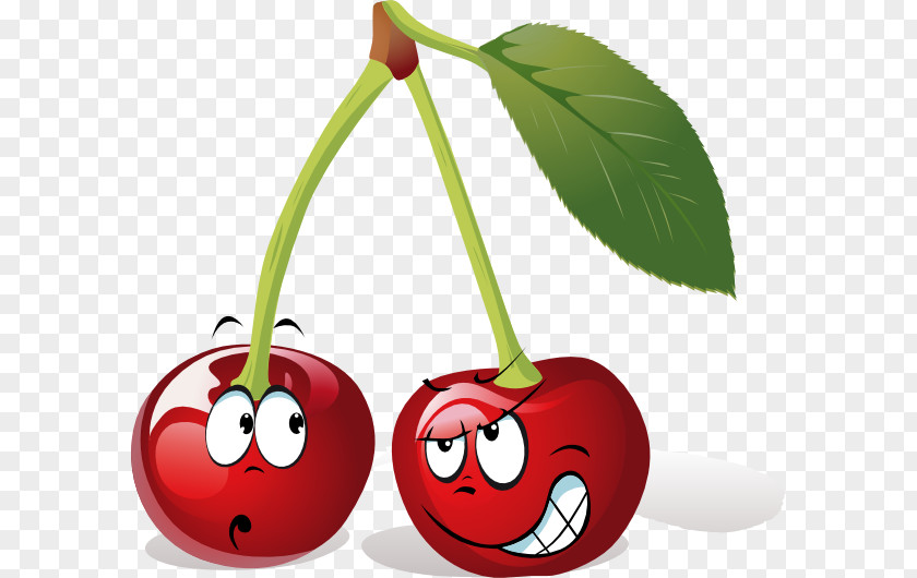 Cartoon Fruit Pictures Clip Art PNG