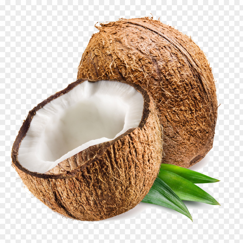 Coconut Oil Liquid Fractionation PNG