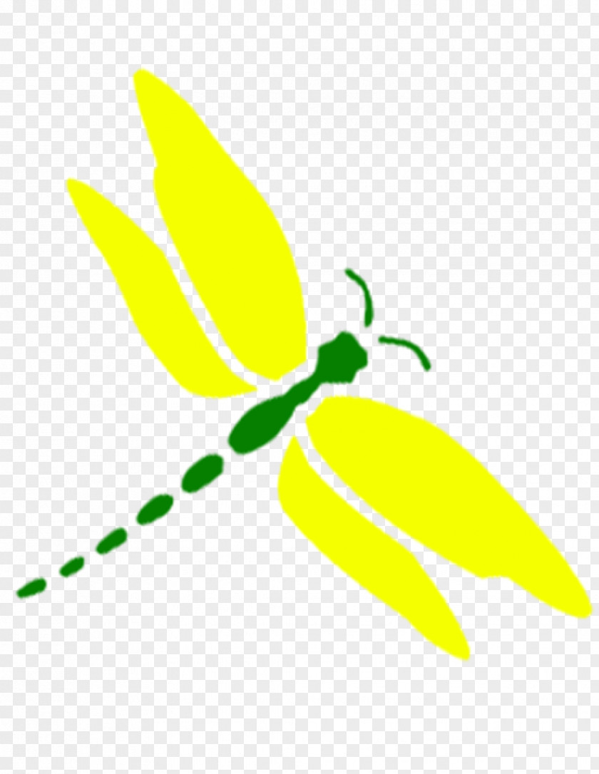 Dragonfly Plant Stem Leaf Flowering PNG