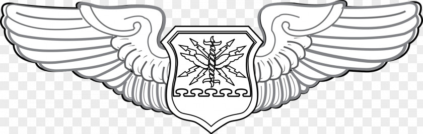 Military Uniform United States Of America Flight Nurse Badge Aircrew PNG