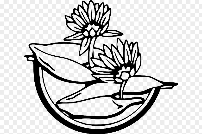 Water Lilies Egyptian Lotus Download Clip Art PNG