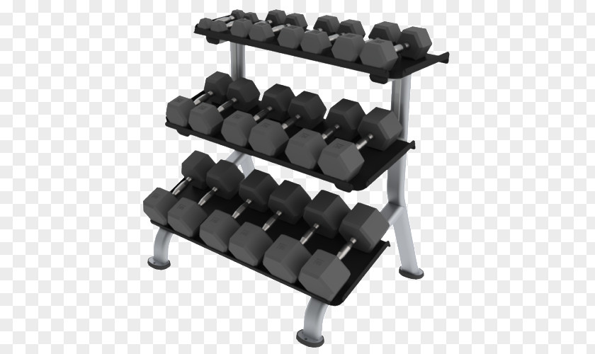 Dumbbell Barbell Exercise Equipment Weight Training Kettlebell PNG