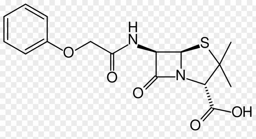 Phenoxymethylpenicillin Benzylpenicillin β-lactam Antibiotic Antibiotics PNG