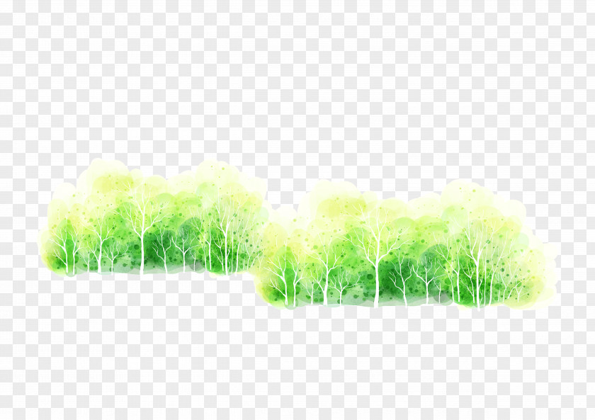 A Row Of Trees Tree Euclidean Vector Computer File PNG