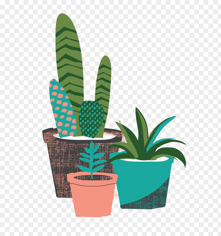 Cartoon Cactus The Garden Cactaceae Succulent Plant Desert PNG