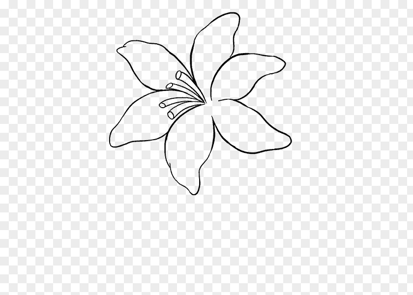 Flower Drawing How-to Line Art PNG