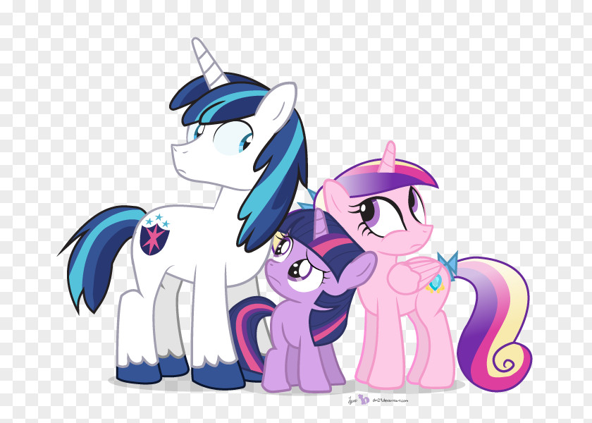 Horse Pony Twilight Sparkle Rarity Princess Cadance PNG