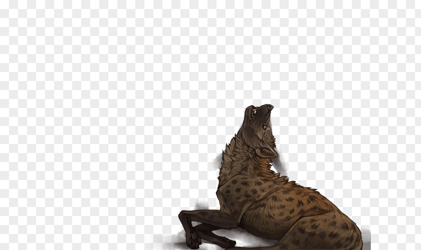 Hyena Cat Cougar Mammal Animal Fauna PNG