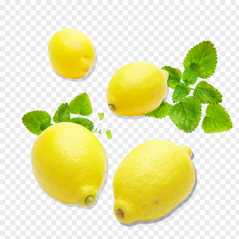 Lemon Citron Lime Citric Acid Yellow PNG