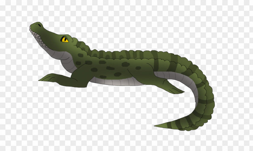 Saltwater Crocodile Alligator Dinosaur Terrestrial Animal PNG