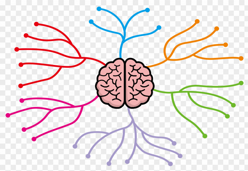 Cartoon Brain Thinking Divergent Color Tree Mind Map Clip Art PNG