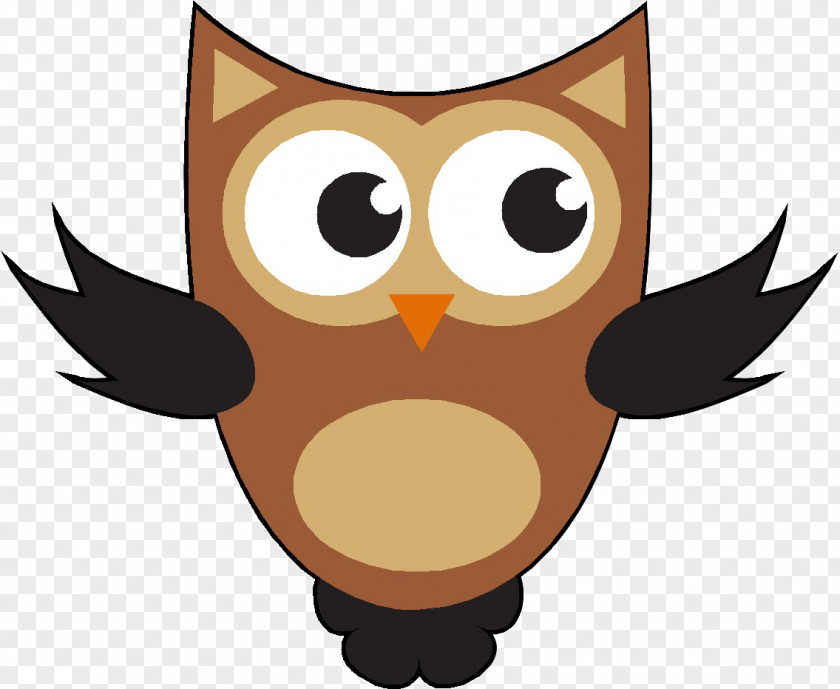 Eule Owl Photography Drawing PNG