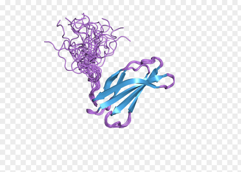 Fibronectin Protein Domain Integrin Dimer PNG