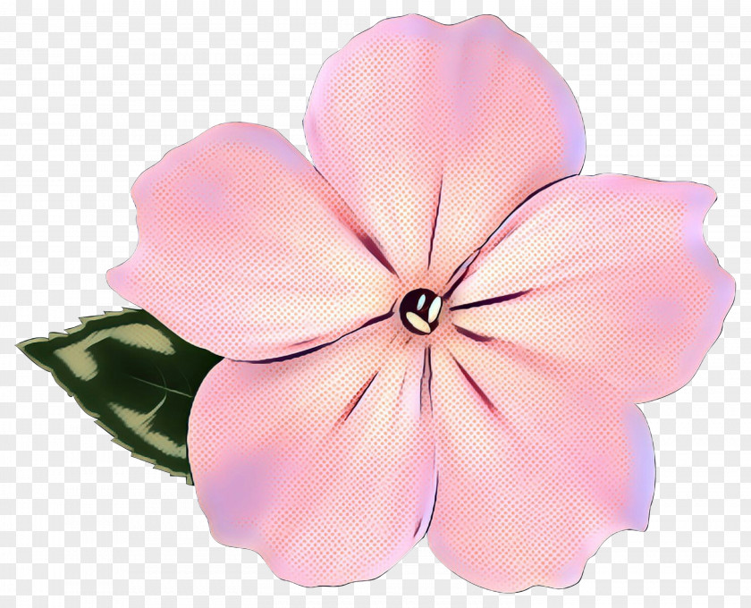 Geranium Morning Glory Pink Flower Cartoon PNG