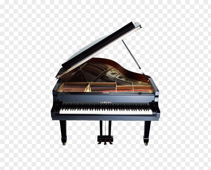 Gray And Black Piano Korg Kronos U5168u65e5u672cu30d4u30a2u30ceu6307u5c0eu8005u5354u4f1a Musical Instrument PNG