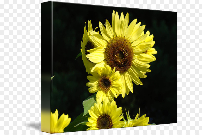 Oil Painting Blue Sky Car Yellow Total Sum Of Squares Lunchbox PNG
