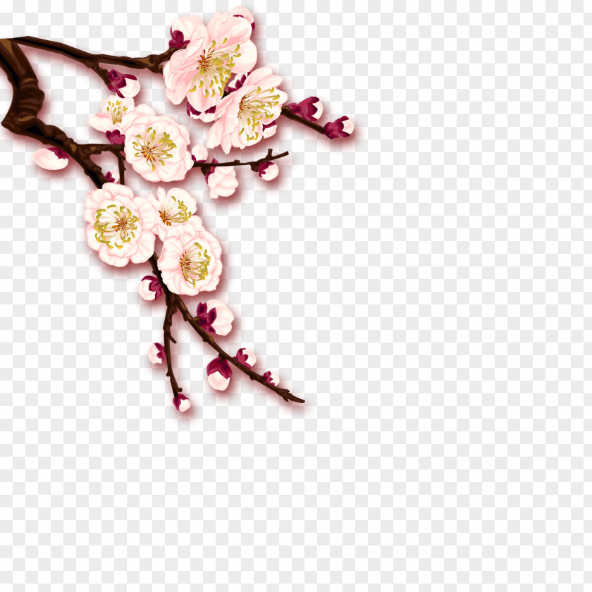 Plum Blossom Pattern Clip Art PNG