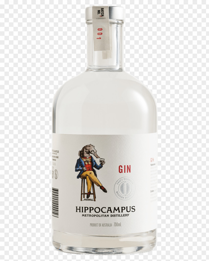 Vodka Liqueur Gin Alcohol By Volume Alcoholic Drink PNG