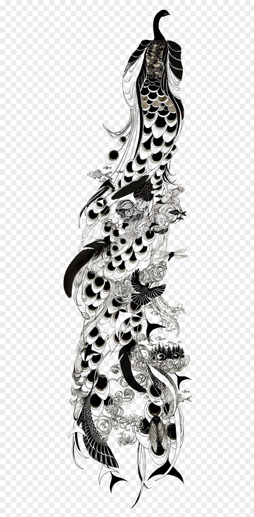 Black And White Line Art Peacock Bird Peafowl Drawing Feather PNG