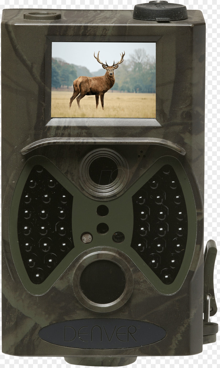 Camera Wildlife Denver Trap Sensor CMOS PNG