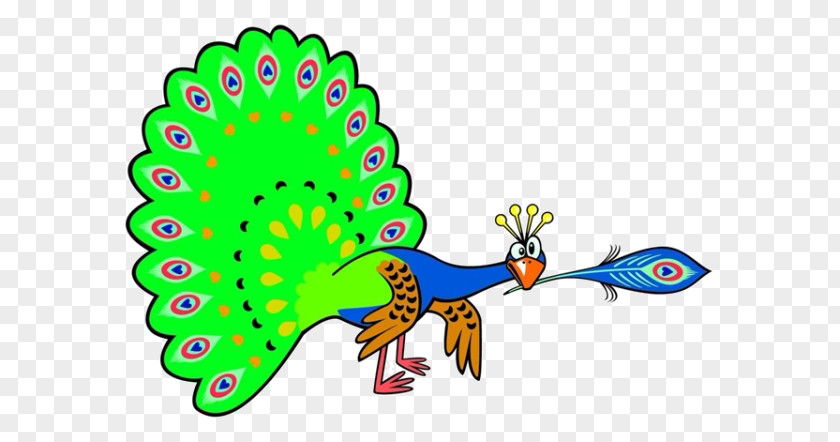Cartoon Peacock Material Peafowl Clip Art PNG