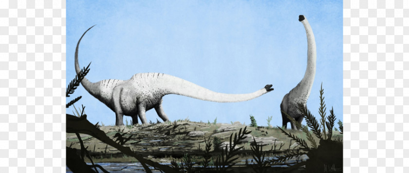 Dinosaur Mamenchisaurus Art: The World's Greatest Paleoart Pinacosaurus Apatosaurus PNG