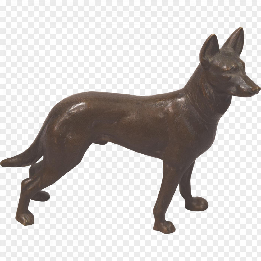 German Shepherd Australian Kelpie Dog Breed Bronze PNG