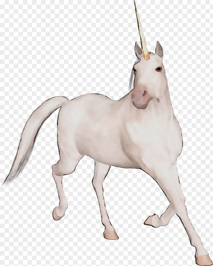 Mustang Unicorn Pack Animal Naturism Horse PNG