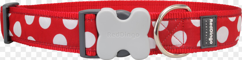 Red Collar Dog Leash Dingo Cat PNG