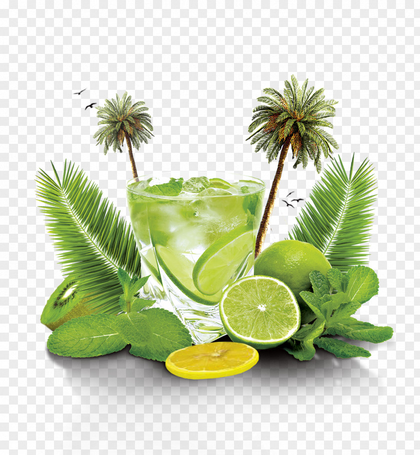 Summer Jieshu A Glass Of Lemonade Mojito Cocktail Download Flyer PNG