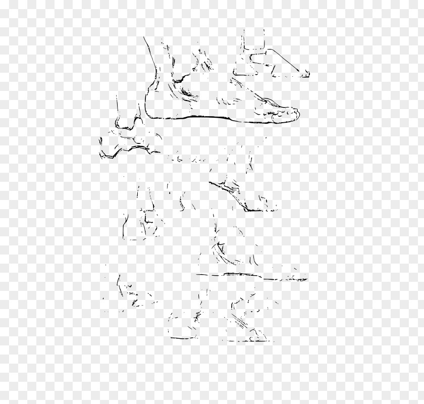 Anatomy Drawing Constructive Sketch PNG