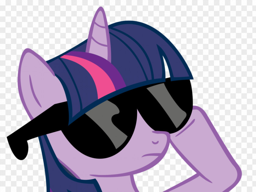 Deal With It Twilight Sparkle Pony Pinkie Pie Rarity Rainbow Dash PNG