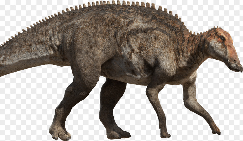 Dinosaur Tyrannosaurus Late Cretaceous Hadrosaurus Argentinosaurus PNG